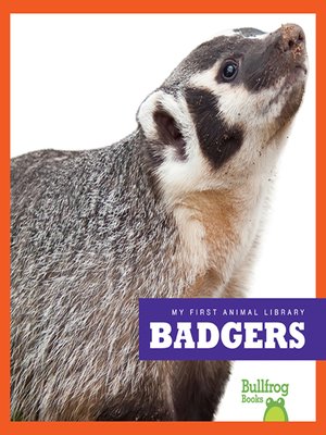cover image of Badgers